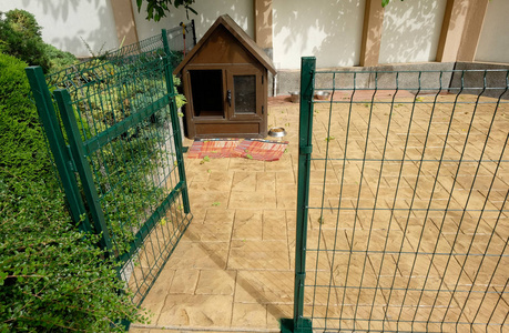 附近的狗窝图片