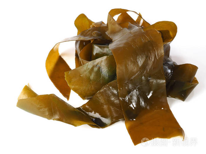 昆布海带是一种大型褐藻海藻 二项式名称 海带 它是一种可食用的海藻 广泛用于日本菜肴 照片 正版商用图片11rfu6 摄图新视界