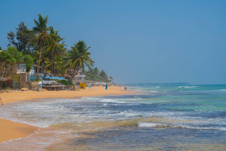 斯里兰卡Hikkaduwa海滩上印度洋海岸的棕榈树。