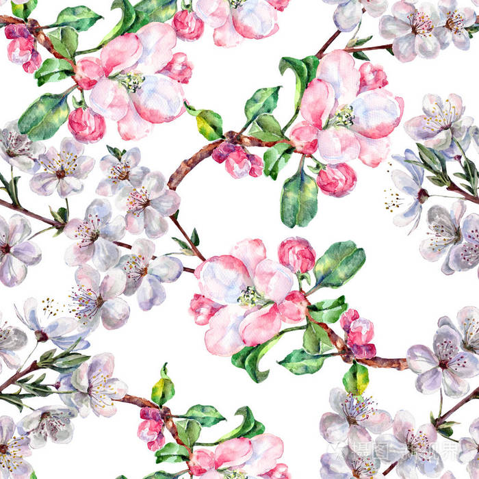 水彩花苹果带花樱桃。 手工无缝图案在白色背景上。