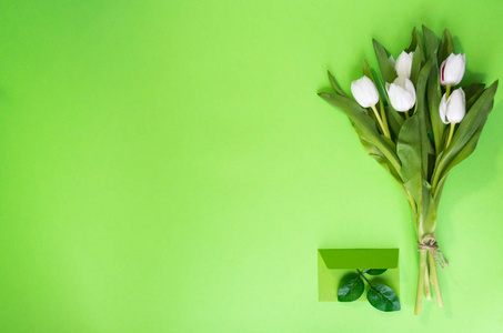 玄关竖式郁金香春天背景与花白色郁金香和礼品卡在绿色背景.