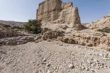 在以色列的石沙漠