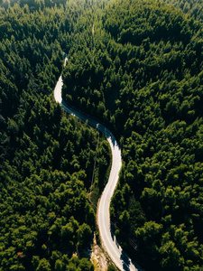 希腊绿色森林山区曲线路鸟瞰图