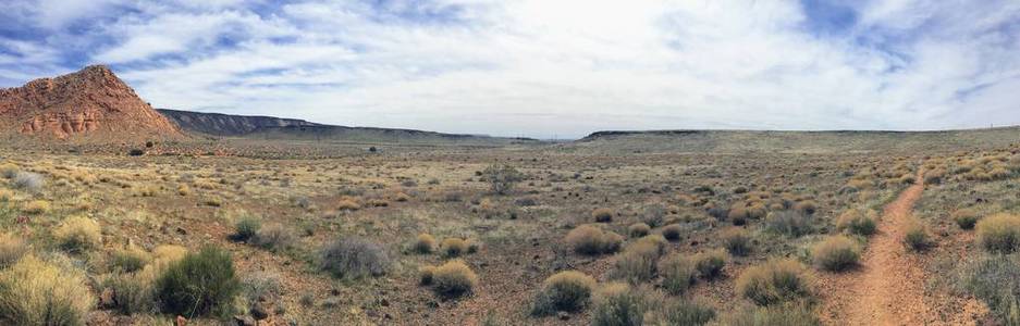 砂岩和熔岩山脉和沙漠植物周围的红色悬崖，国家保护区，黄色的诺尔斯徒步旅行小径，位于犹他州西南部，圣乔治以北，莫哈韦沙漠东北部最边