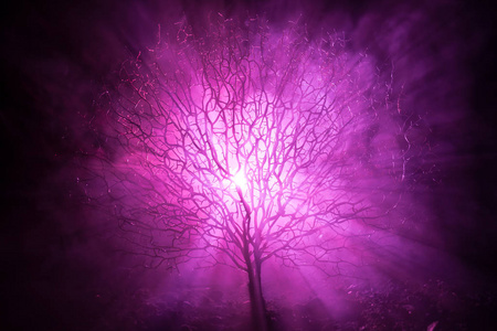 恐怖恐怖树与僵尸和恶魔面孔照片