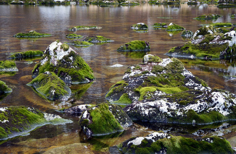 在一个小山湖的水中生长着绿色的苔藓石。
