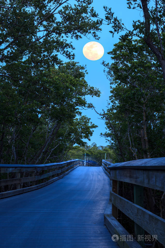 在克拉姆通往海洋的河上木板路上升起的月亮