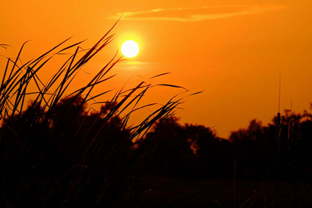 夕阳下五彩缤纷的天空。日出在乡下。橙色的云在晚上反射阳光。