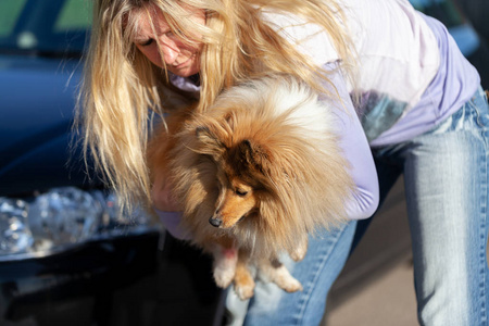 一个女人在汽车前抱着一只受伤的狗