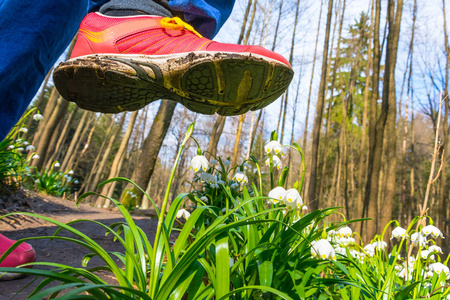 足球比赛请勿踩踏草坪标牌,请勿在草坪上行走.白色独立插图.