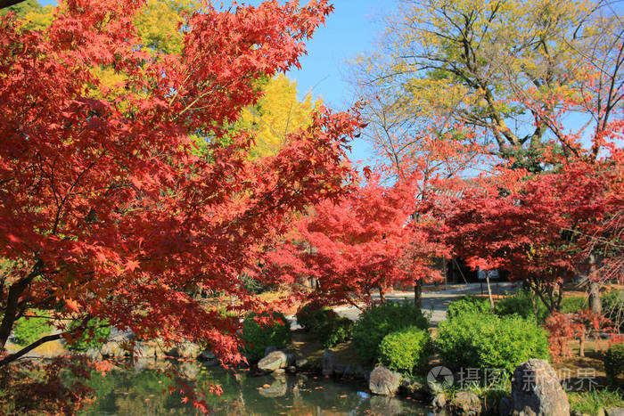 京都花园东寺照片 正版商用图片11snyg 摄图新视界 京都花园东寺照片 正版商用图片11snyg 摄图新视界