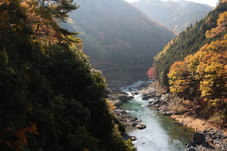 秋天的日本桂河