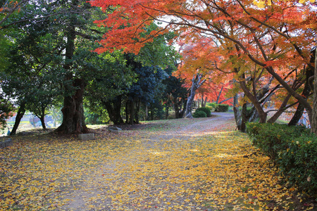 Daikaku 霁园京都