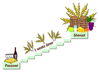 Shavuot 的盛宴。在逾越节和 Shavuot 之间计数的欧麦。葡萄酒, 饼干, 水果, 牛奶, 奶酪。律法的卷轴, 圣经的