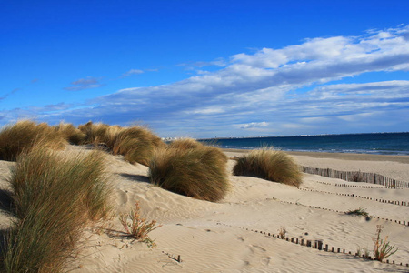 法国南部卡马格地区美丽的沙滩