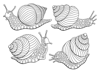 蜗牛escgot图形黑白孤立草图集插图矢量照片