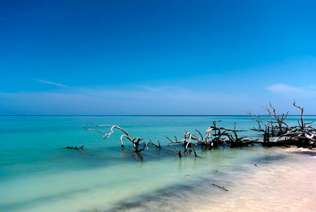 古巴海滩全景