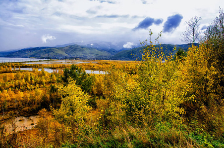 在秋季, 景色缤纷的森林树木和湖泊.来自俄罗斯贝加尔湖的场景照片