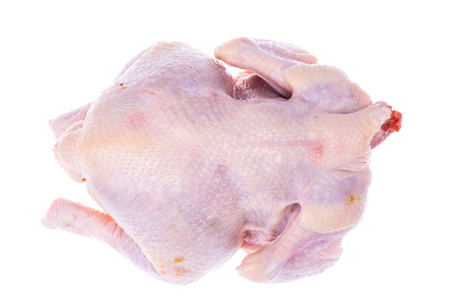 鸡骨头图片大全