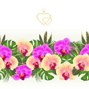花缘无缝背景花束与热带花卉插花，与美丽的黄紫兰花，棕榈，紫鹃复古矢量插图可编辑手绘