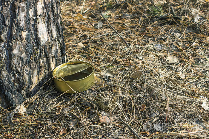 森林里的垃圾落在树叶上.环境污染物