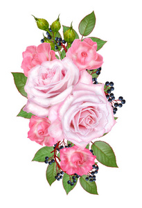 花背景。花的组成，柔和的粉彩玫瑰，浆果，枝叶。 贺卡邀请名片。 孤立在白色背景上。