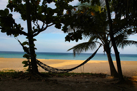 棕榈树上的吊床靠海