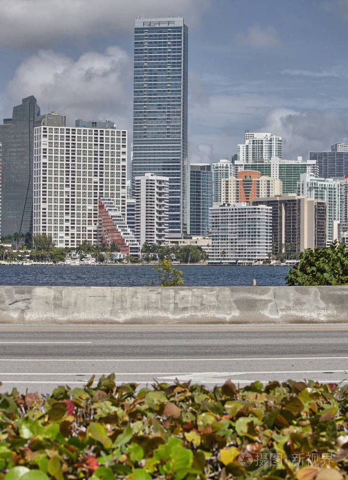 佛罗里达美国美妙的城市海岸天际线