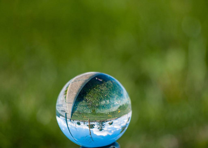 水晶球春季花园中蒲公英的反射环境概念