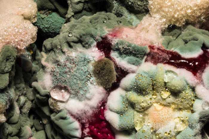 被宠坏的食物上的有色霉菌的密集的形成抽象背景