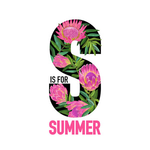 你好夏天植物热带设计。花卉葡萄酒背景与粉红色的普罗蒂亚花为印刷品, 海报, t恤, 传单, 销售横幅。矢量插图