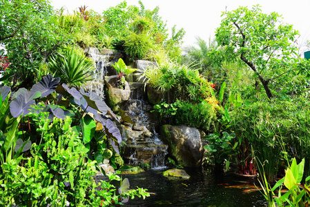 花园很漂亮，有一个有池塘的小瀑布。 有许多美丽的植物。