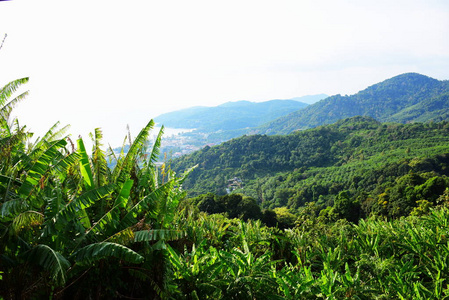 美丽的女孩有风景，城市景色港口和美丽的海洋。 从泰国普吉岛山顶