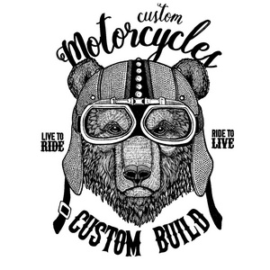 布朗熊俄罗斯熊骑自行车, 摩托车动物。用于纹身徽章徽章徽标补丁t恤衫的手绘图像