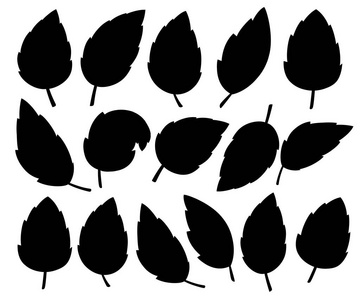 一组黑叶。树和植物的叶子的各种各样的形状。花卉, 树叶的设计元素。在白色背景上隔离的矢量插图。网站页面和移动应用程序设计