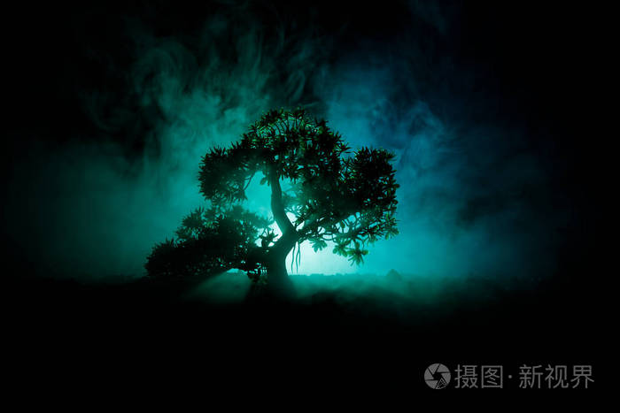 晚上在森林里有鬼魂的老房子, 或者在大雾中遗弃了闹鬼的恐怖屋.