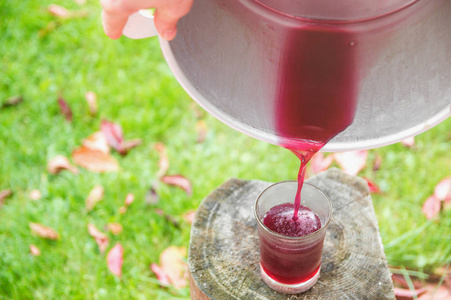 天然发酵发酵天然果汁, 倒入玻璃杯中照片