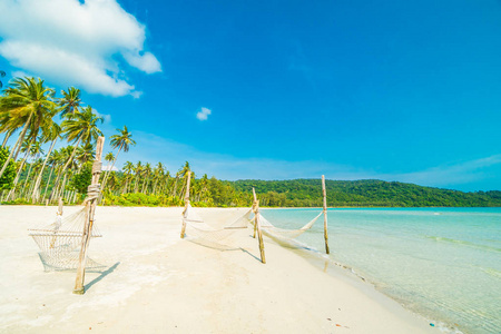 美丽的热带海滩上的吊床，上面有热带椰子树和海