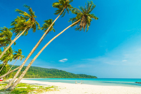 美丽的自然热带海滩和海与椰子棕榈树 o
