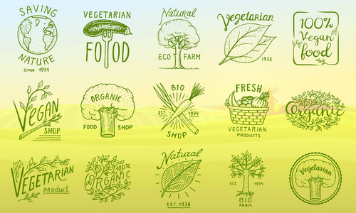 健康有机食品徽标或标签和元素为素食和农场绿色天然蔬菜产品, 矢量插图。徽章健康生活。刻在旧素描手绘
