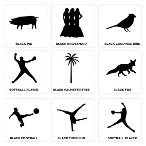 一套9个简单的可编辑图标，如垒球运动员黑色翻滚黑色足球黑狐黑棕榈树垒球运动员黑色基数鸟黑色伴娘黑猪可以使用