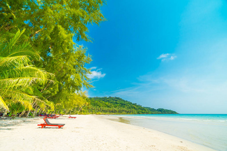 美丽的自然热带海滩和海与椅子和椰子 p