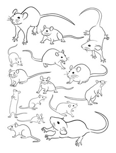 老鼠动物线艺术。 很好地用于符号着色标志，网页图标，吉祥物标志或任何你想要的设计。