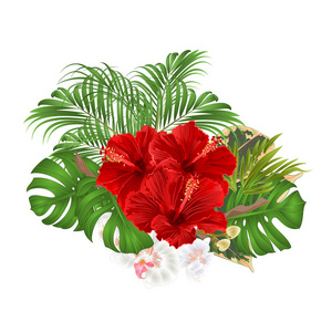 带有热带花卉的花束，带有美丽的红色芙蓉和白兰花棕榈柏复古矢量插图可编辑的手绘图案