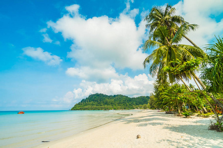 美丽的热带海滩和海与椰子棕榈树在 parad