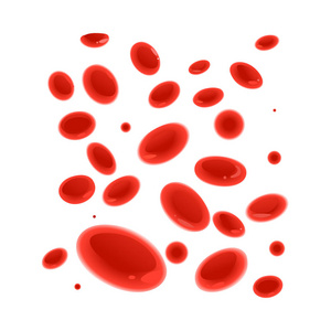 在白色背景下被隔离的血管图标中的红细胞流动