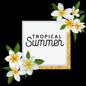你好夏季热带背景与鸡蛋花和棕榈叶。异国情调的海滩度假设计为封面, t恤, 海报, 销售旗帜。矢量插图
