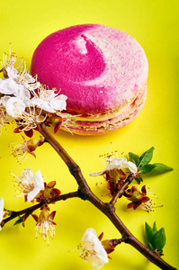 樱桃花的一个分支和法国甜点在黄色明亮和时尚的背景。优雅的杏仁粉甜点 macaron  玛卡龙。漂亮的粉红色饼干