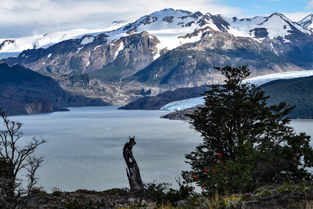 智利南部巴塔哥尼亚冰场的灰色湖和灰色冰川