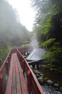 智利潘吉普利特马斯几何的美丽天然火山温泉..隐藏在智利森林中的日本启发的温泉迷宫..